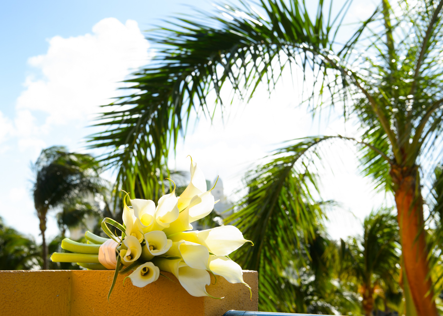 christa-radisson-aruba-wedding-002