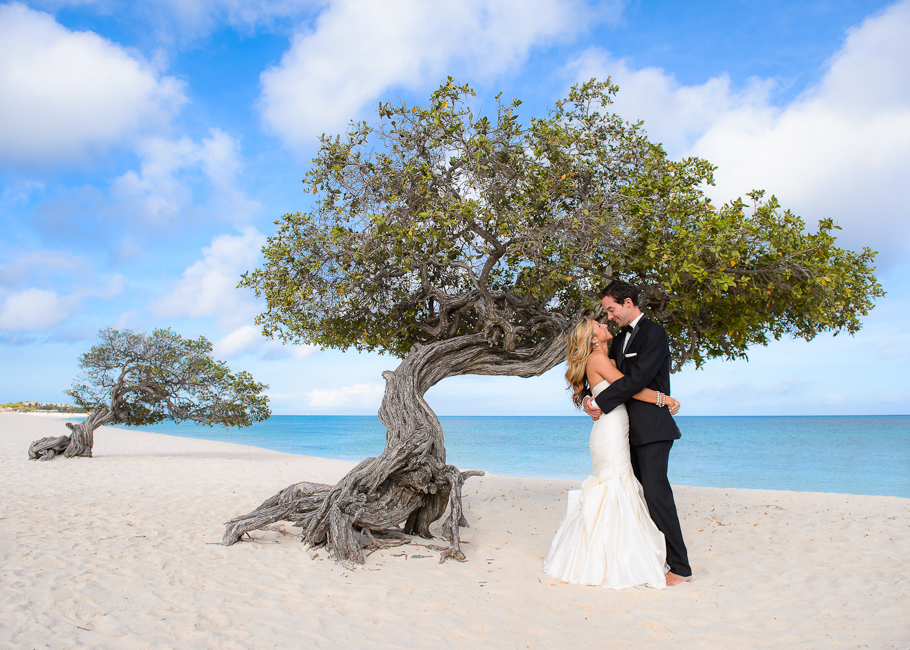 colby-trash-dress-aruba-001