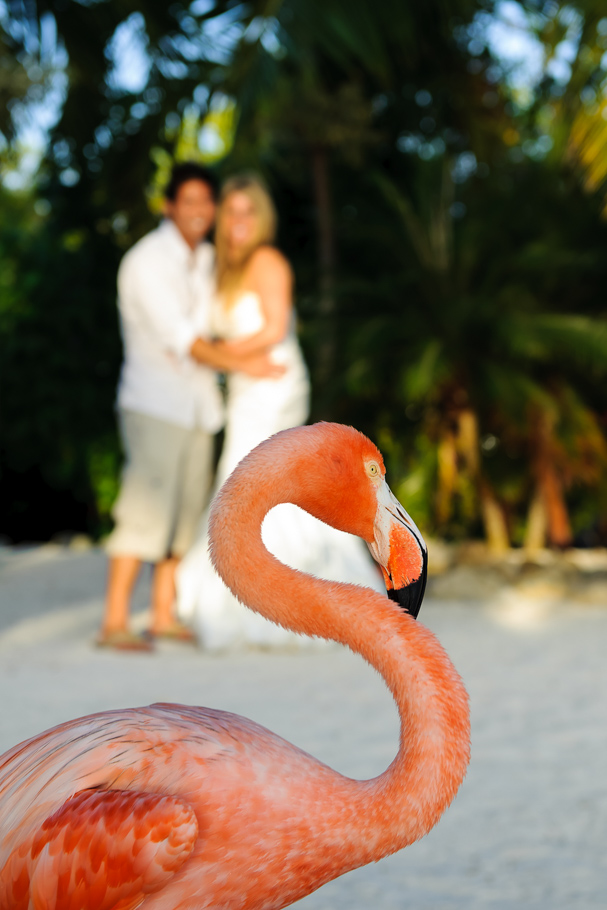 melanie-aruba-trash-dress-006