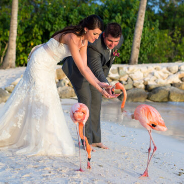 Renaissance Aruba Wedding Photos
