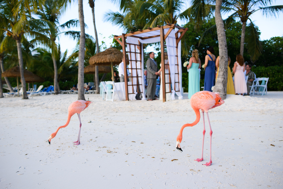 laura-renaissance-aruba-wedding_0026