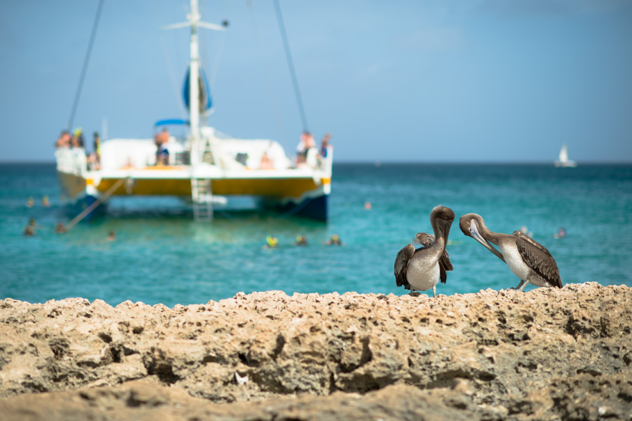 carrie-divi-aruba-wedding_0039